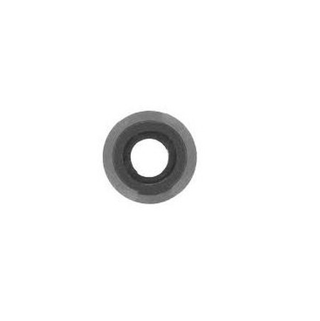 Camera Lens for Celkon Star 4G Plus Black