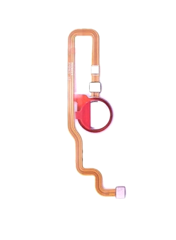 Fingerprint Sensor with Flex Cable for Huawei Honor 8C White