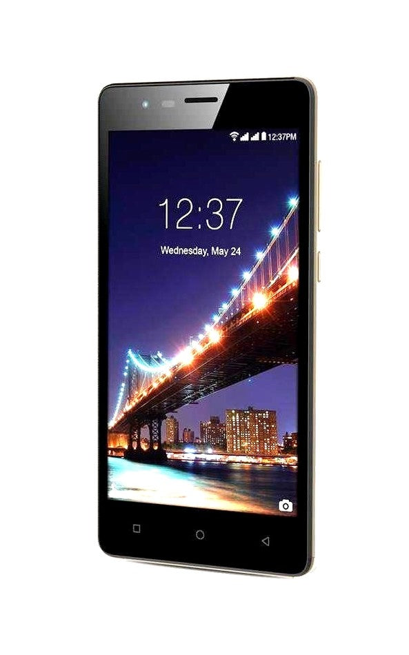 LCD Screen for Intex Aqua Lions 2 (replacement display without touch)