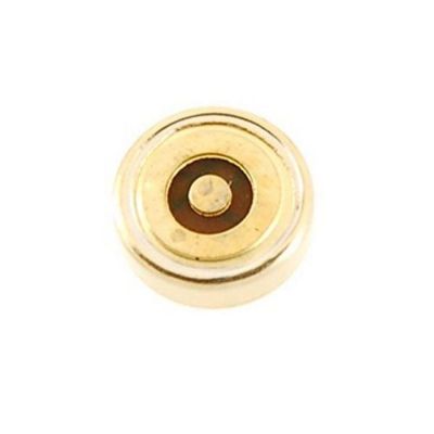 Microphone - Mic for Intex Turbo Twist